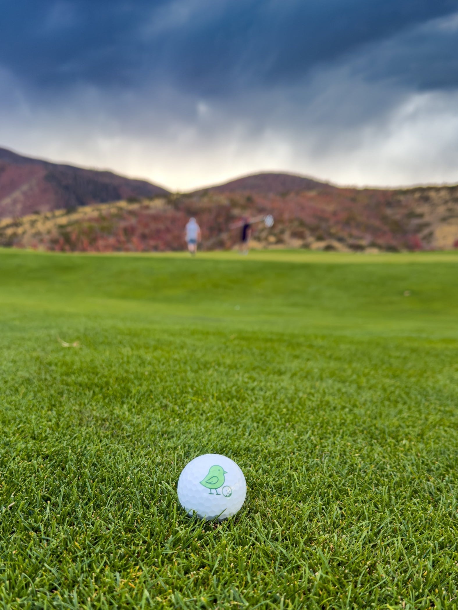 How We Started - Little Birdie Golf Co