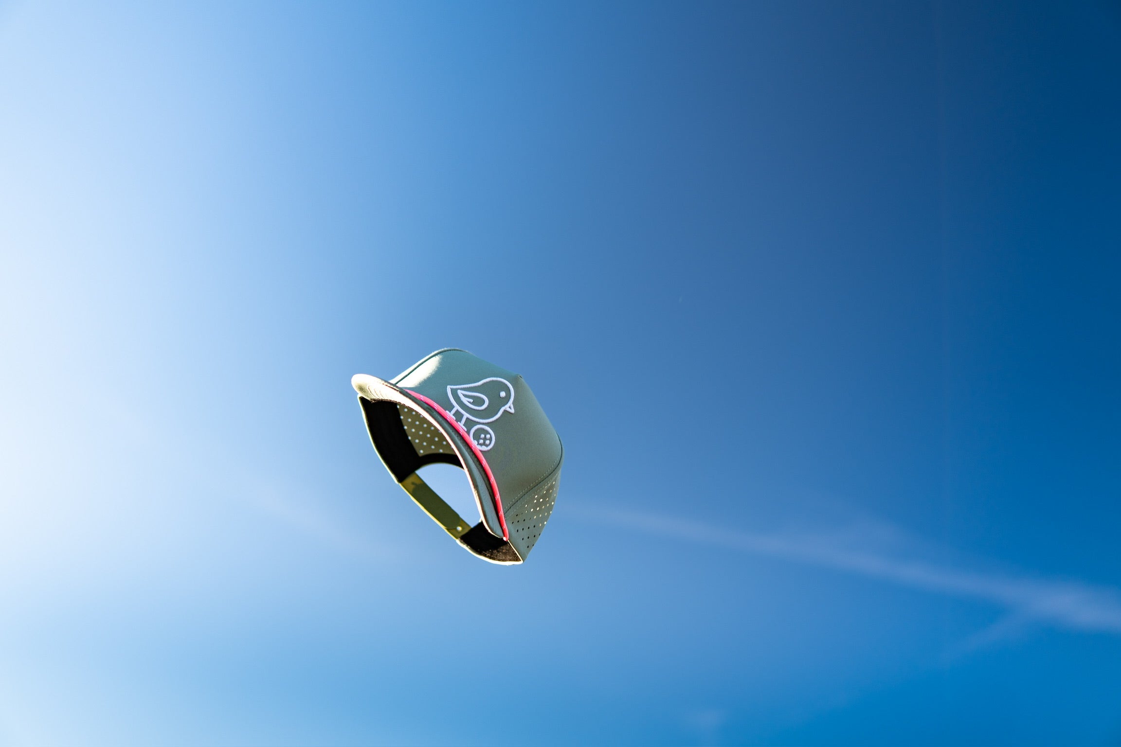 Hats - Little Birdie Golf Co