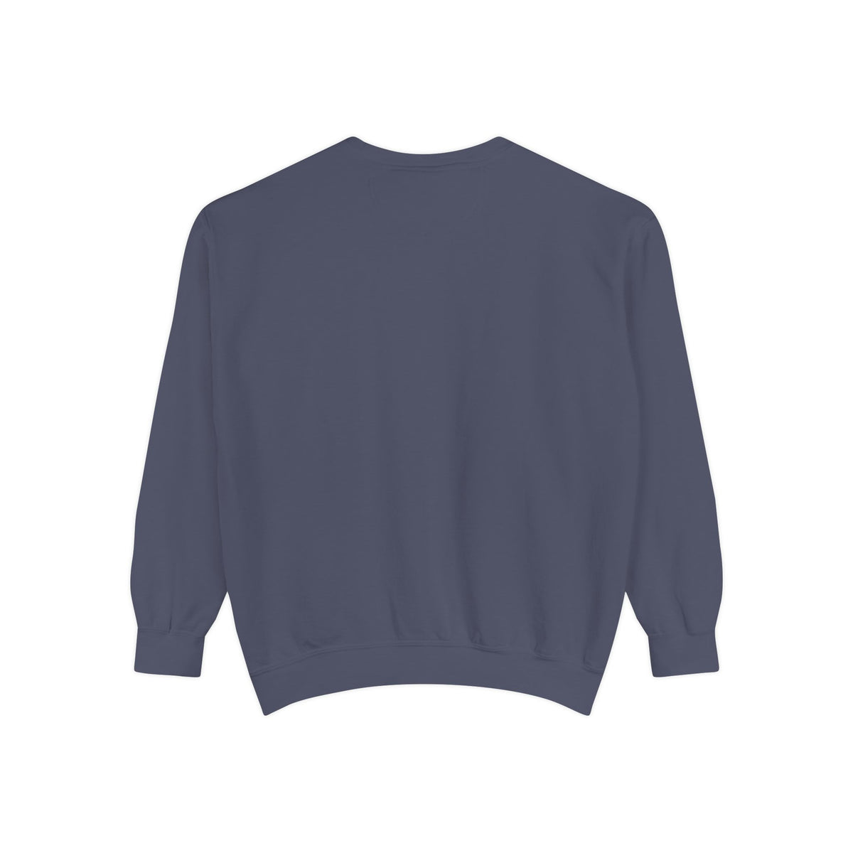 Little Bird Embroidered Relaxed Fit Sweatshirt