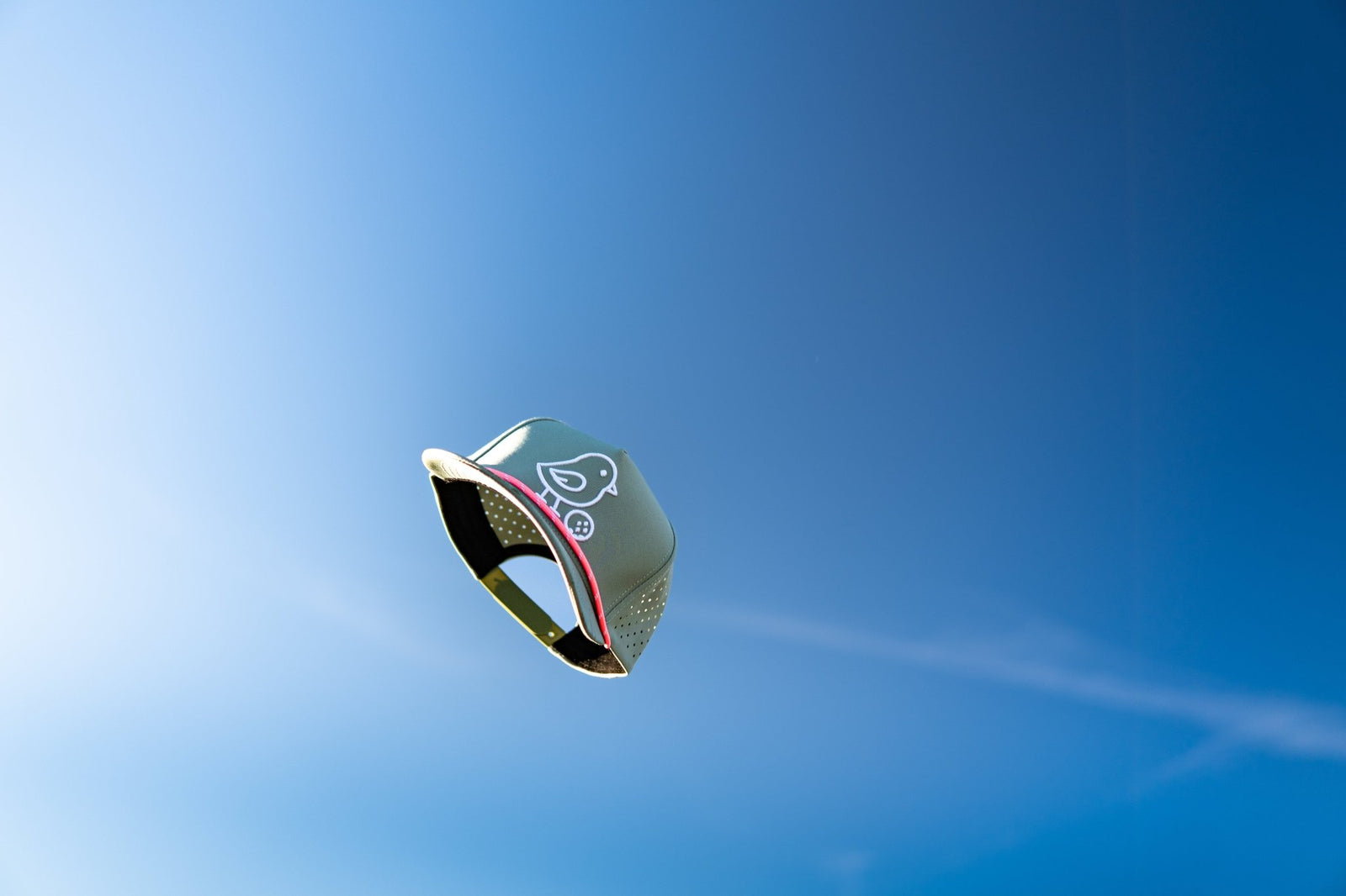 Launch Edition Hat - Little Birdie Golf Co